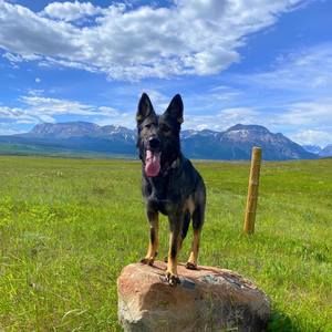 Meet your Posher, Danielle